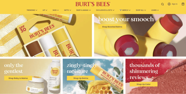 burt’s bees brand identity